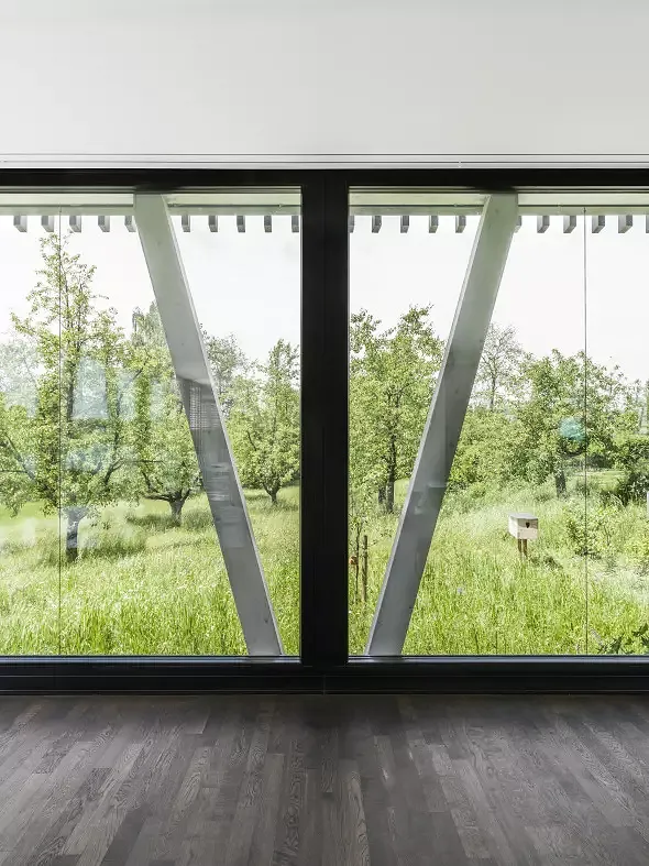 Fenster EG
