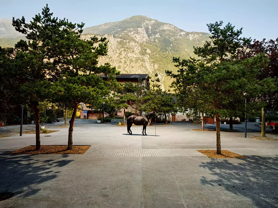 Érables rouges et pins sylvestres procurent une ombre basse  et protectrice à l’espace public. Un bandeau  de pavés en granit blanc livrés par la carrière de Bramois resserre les arbres et les rassemble à la manière d’un bouquet.