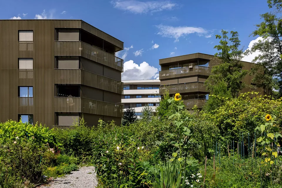 Pavillons venant habiter le parc