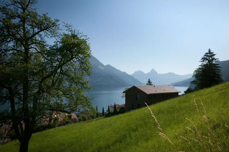 Holzbau am Hang
