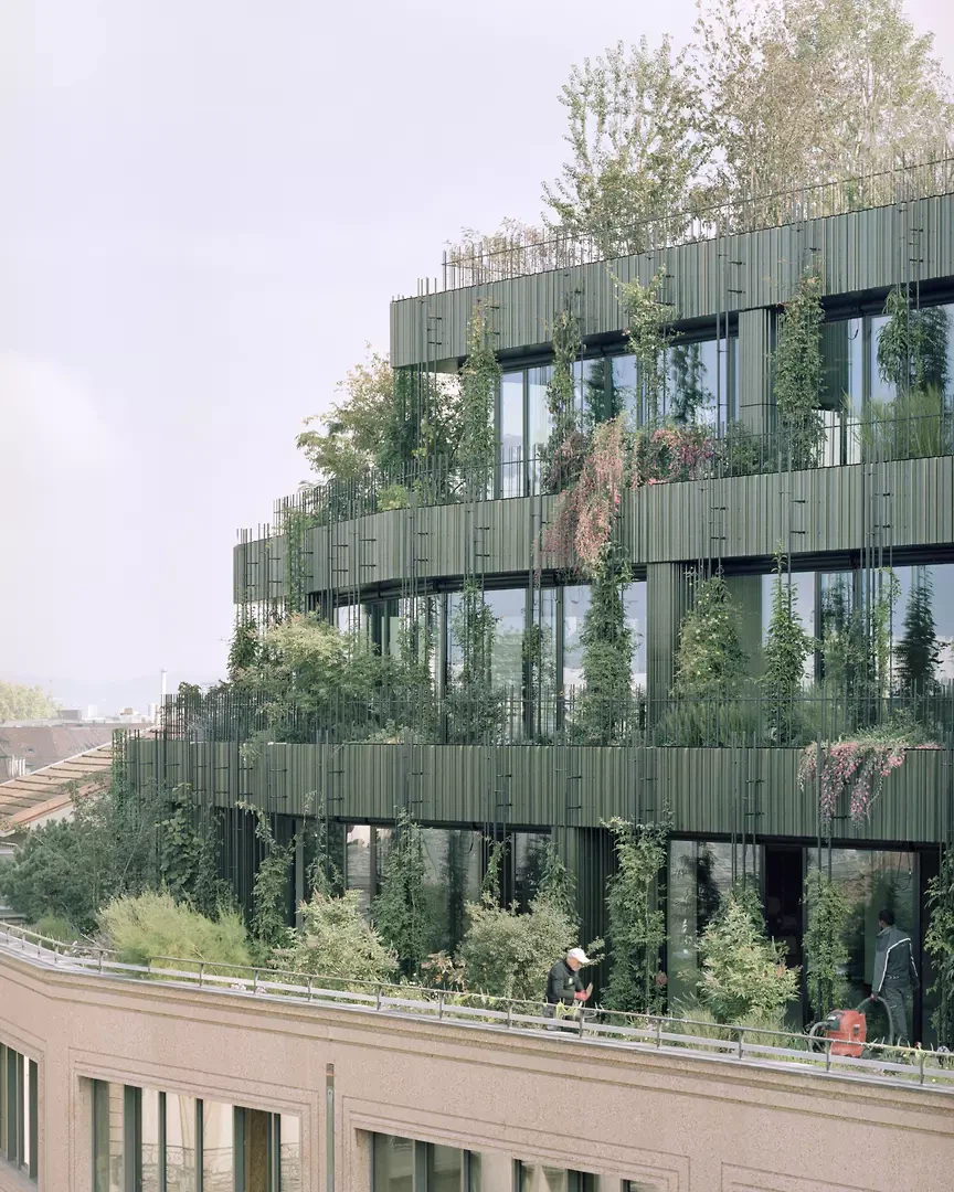 Dachgärten an der Eisengasse