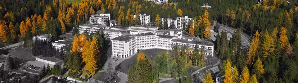 Vogelbild Hochgebirgsklinik Davos