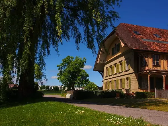 Südostansicht mit Trauerweide © BST