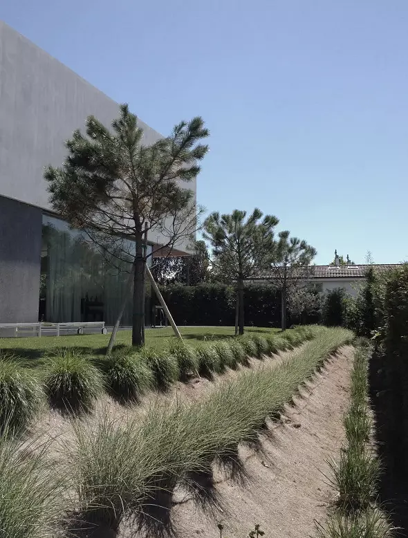 vue latérale du jardin planté de graminés