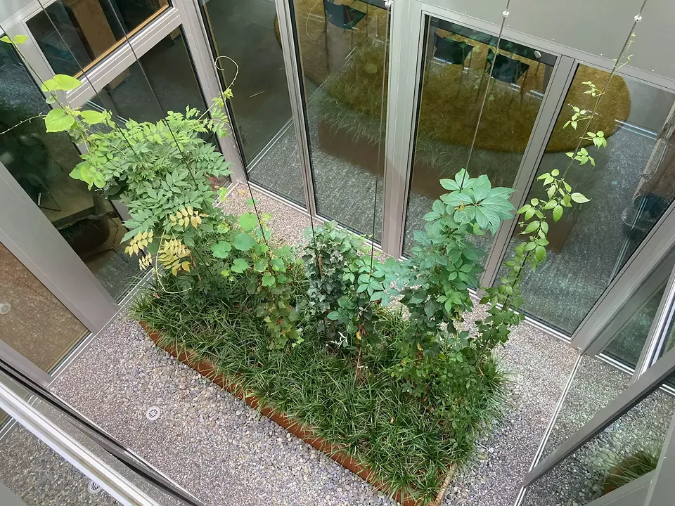 Clustergarten