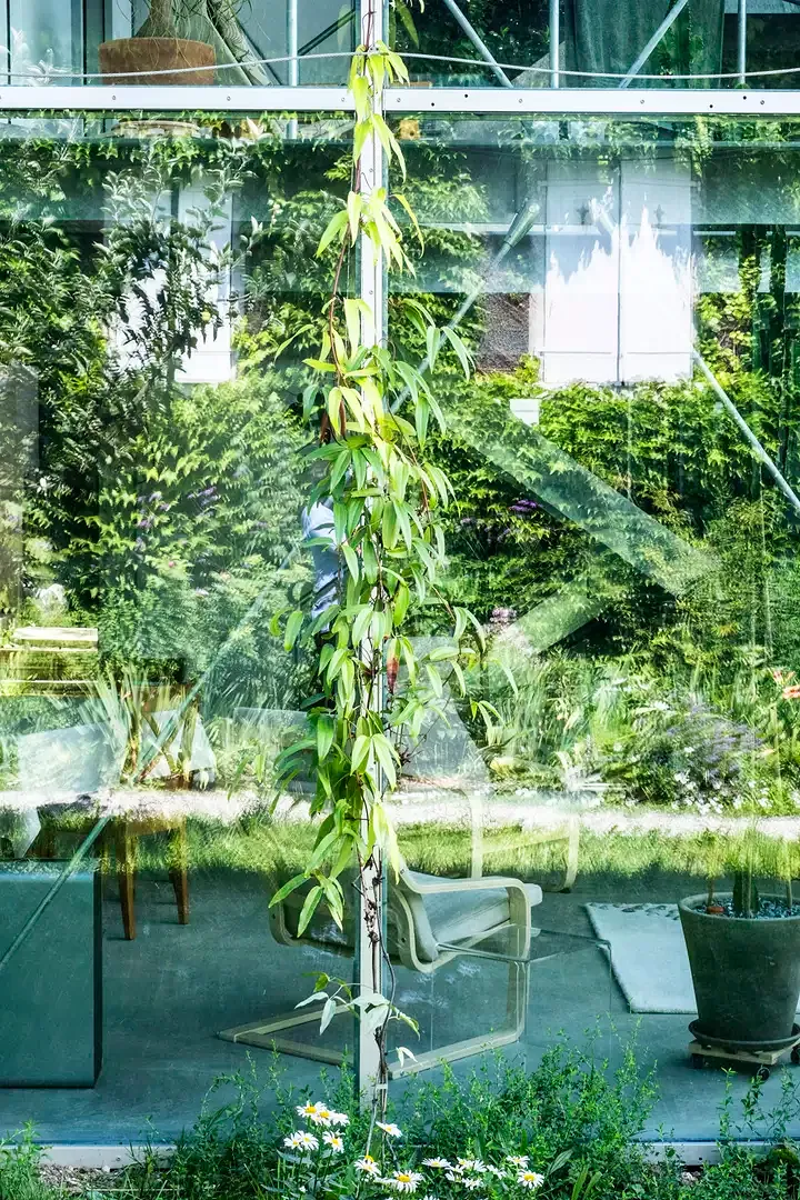 Filter House