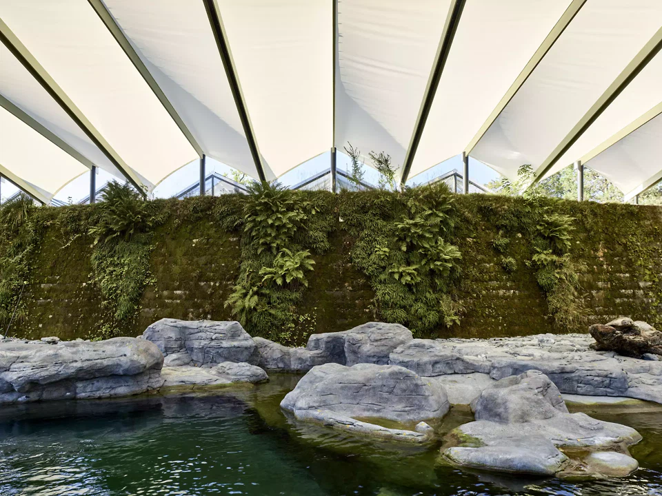 Seehundebecken mitbegrünter Mauer