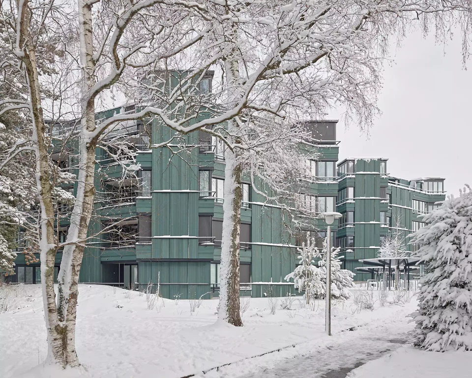 Wohnen in den Baumkronen