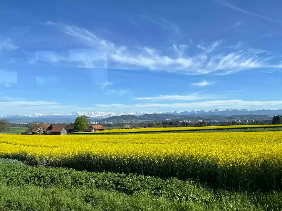 Aussicht