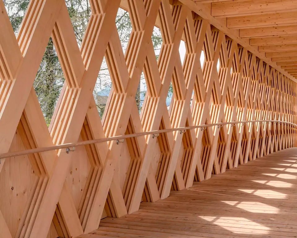 Vue de la structure