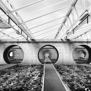 Greenhouse Basel
