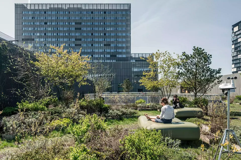 Terrasse au toit