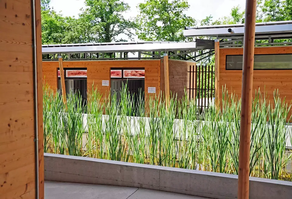 Allée entre les vestiaires, sous le couvert