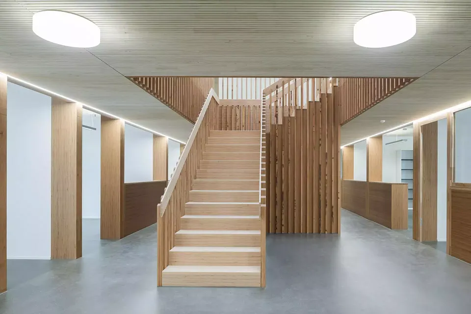 Escalier en hêtre dans l'immeuble de Baltensperger