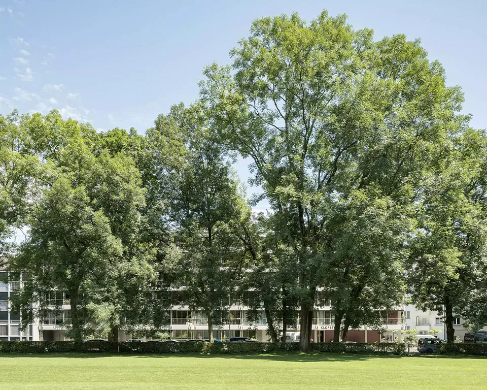 Aussenansicht mit Klopstockwiese im Vordergrund