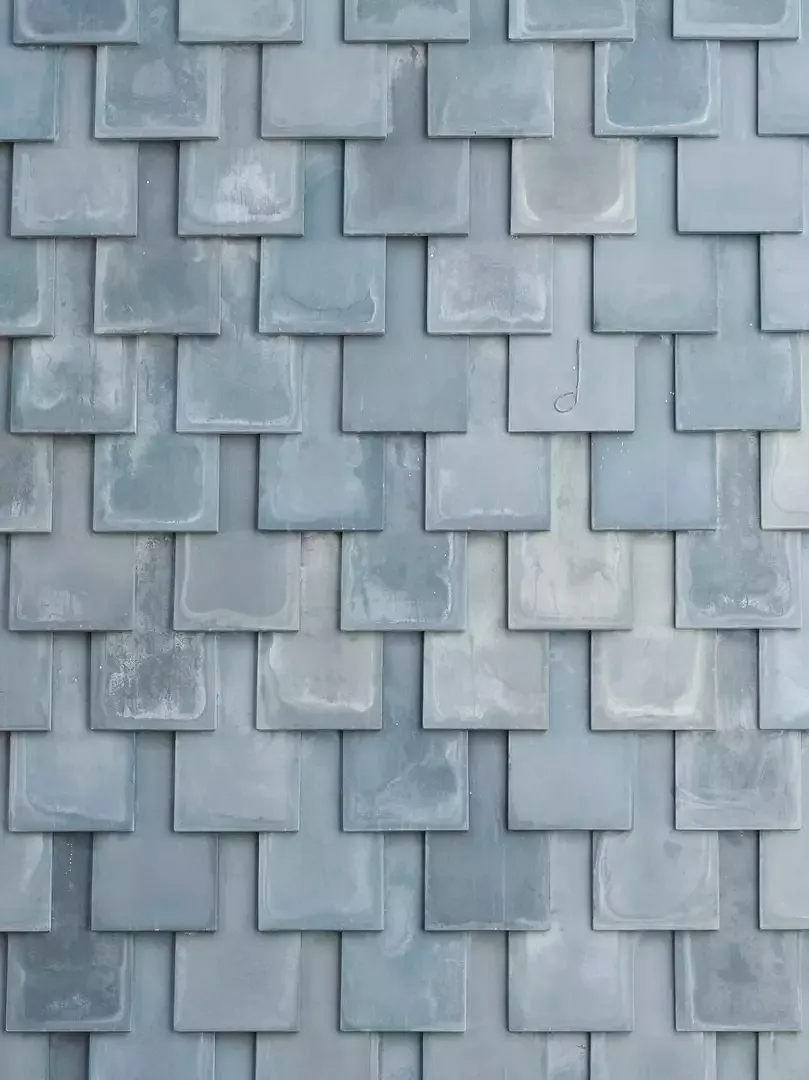 Detail Schuppen
