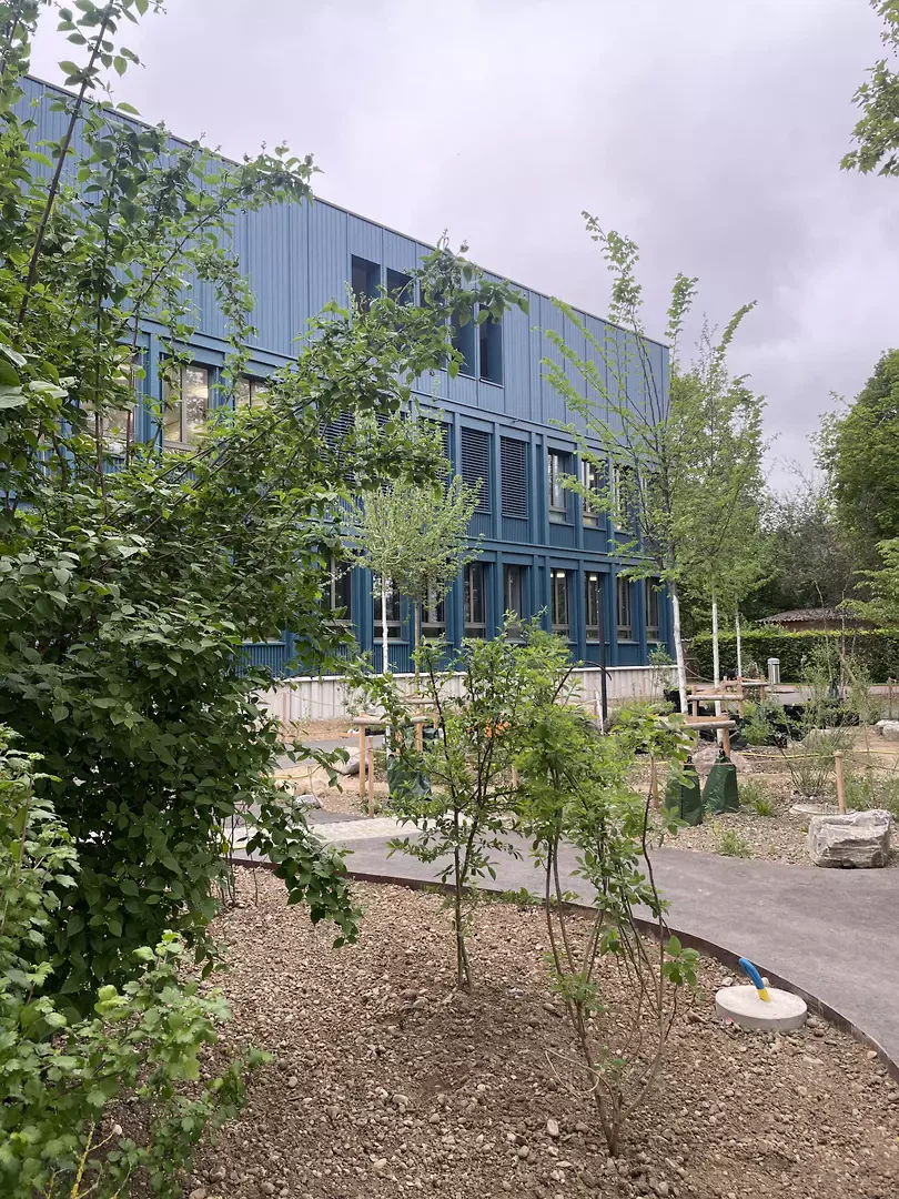 Neubau und Schwammstadt