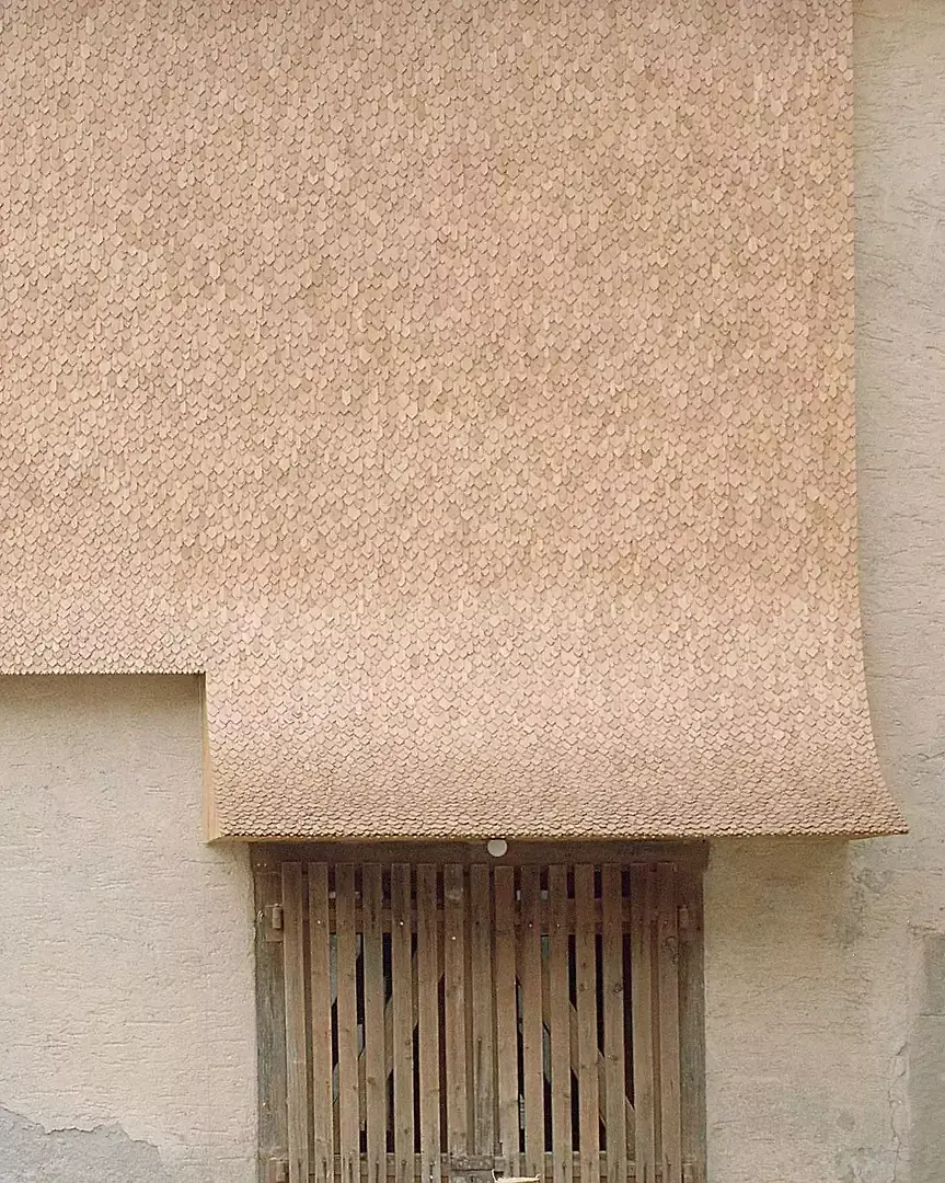 Ausschnitt, Gefieder