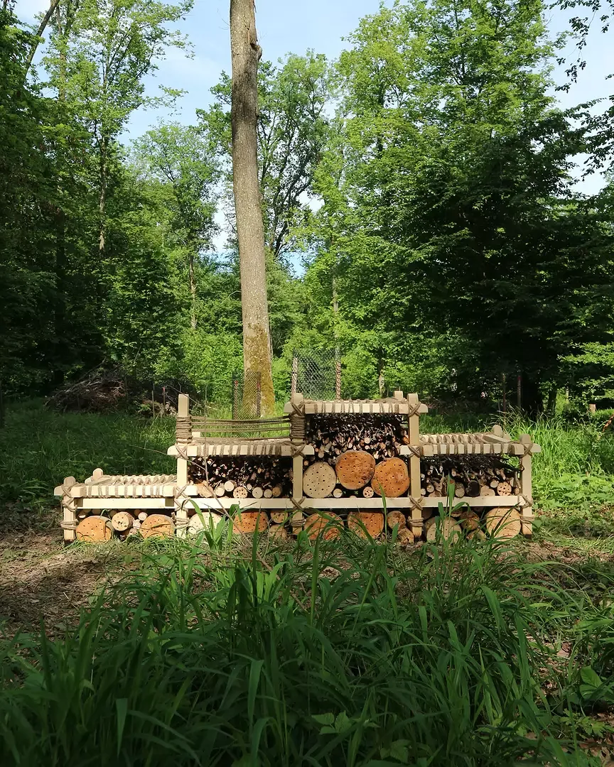 Projekt: Cohabitation – Site: Dead Wood Forest – «Cohabitation» ist ein Ensemble aus fünf Holzstrukturen, die mit unterschiedlichen Füllungen sowohl für Menschen als auch für Nichtmenschen konzipiert sind.