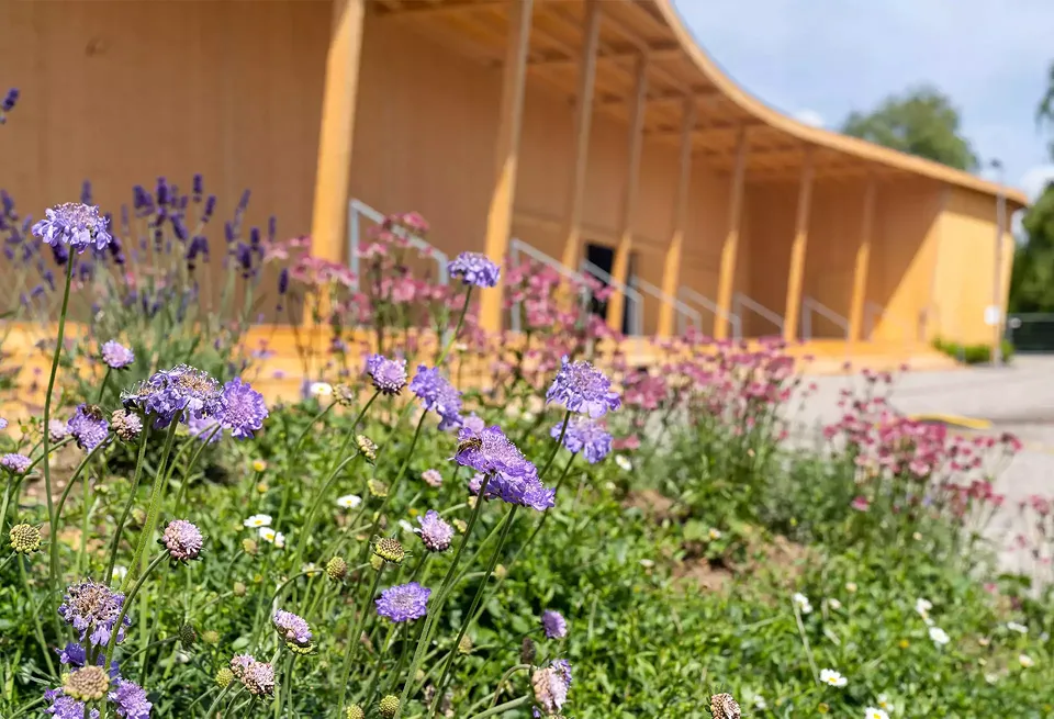 Aussenansicht Pavillon 2_1