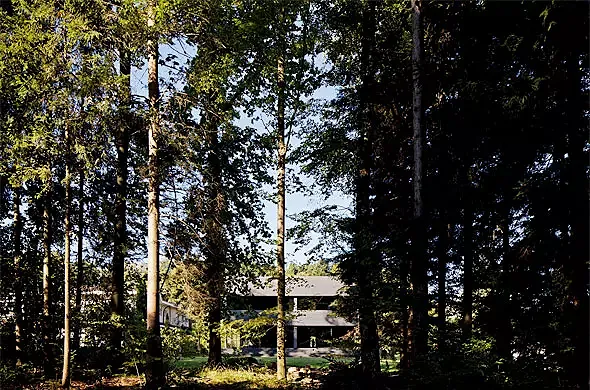 Blick durch Wald auf Westfassade