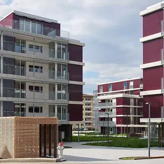 Hofächer Dietikon