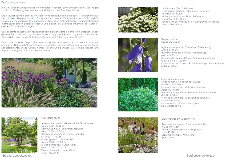 Concept de plantation