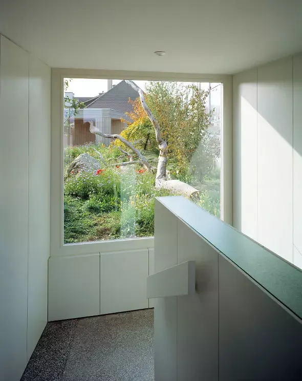 Vue