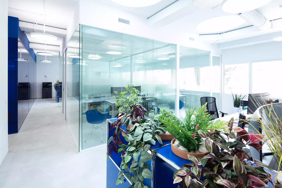 Ein in Blautönen gehaltenes Treuhandbüro, das durch eine getönte Glaswand unterteilt ist. Pflanzen und ein gewachster Estrich sorgen für Schlichtheit und Ausgewogenheit.
