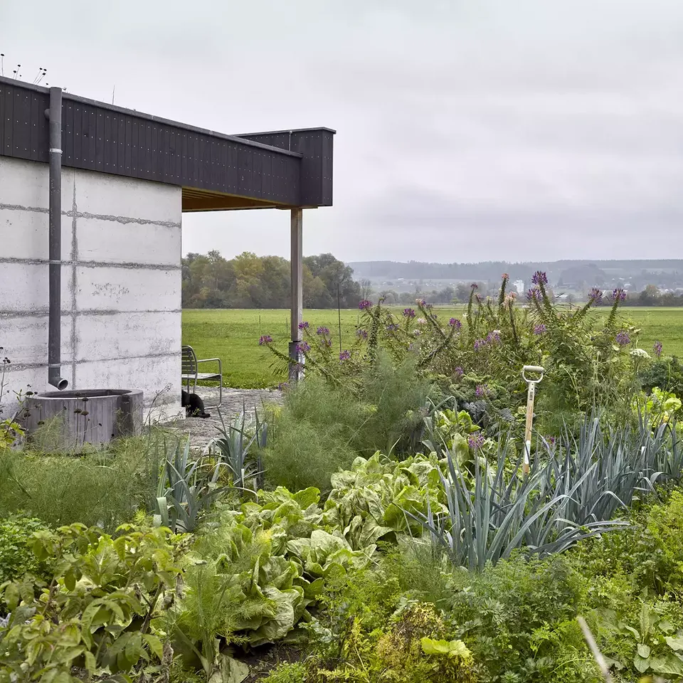 Garten und betonierte Wetterseite