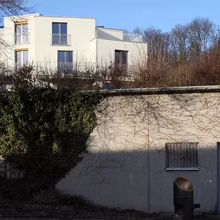 Doppeleinfamilienhaus Heizenholz in Zürich
