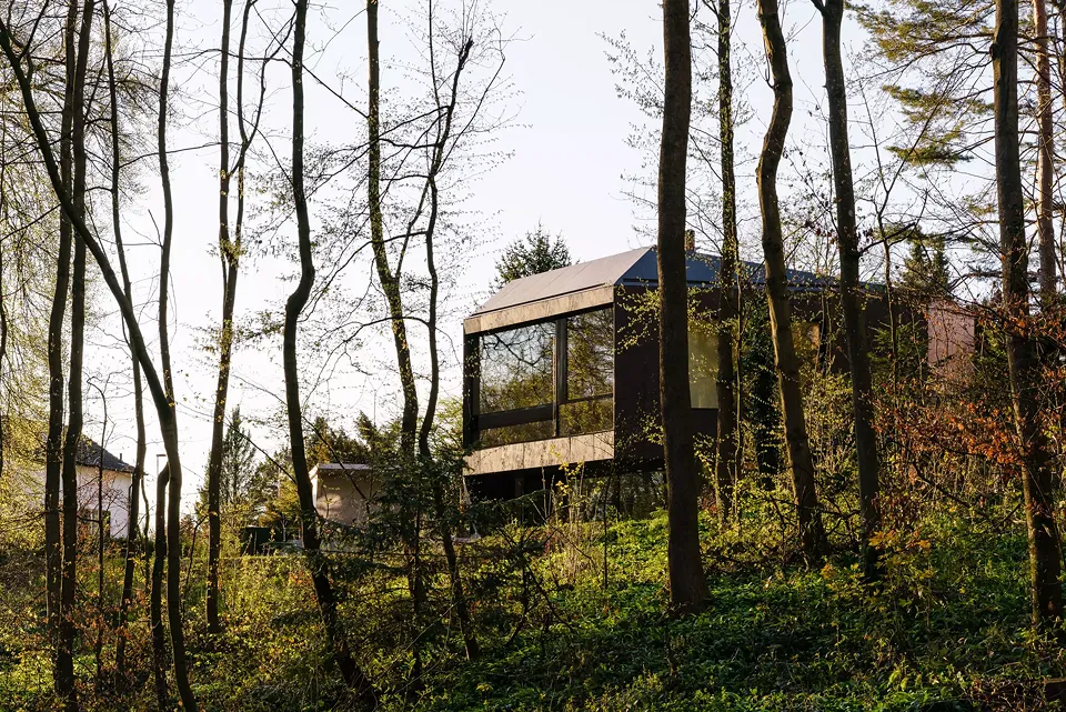 Fassade Wald