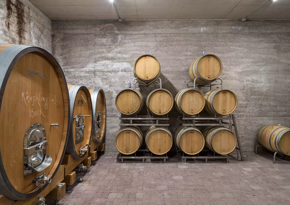 Barriques de vin dans le chai à barriques devant le mur en béton damé