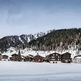 Stallscheune Gluringen