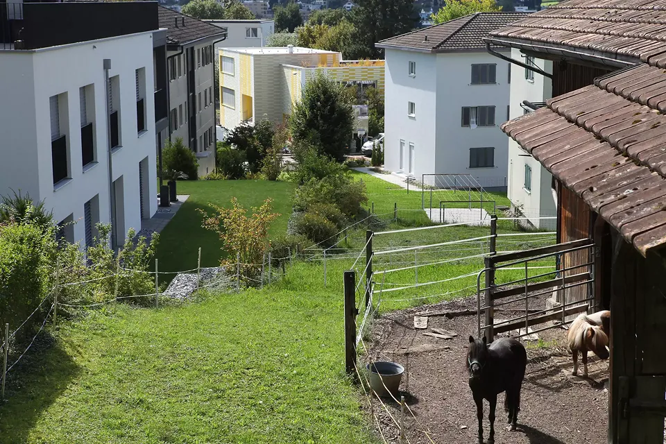 Einbettung in Umgebung