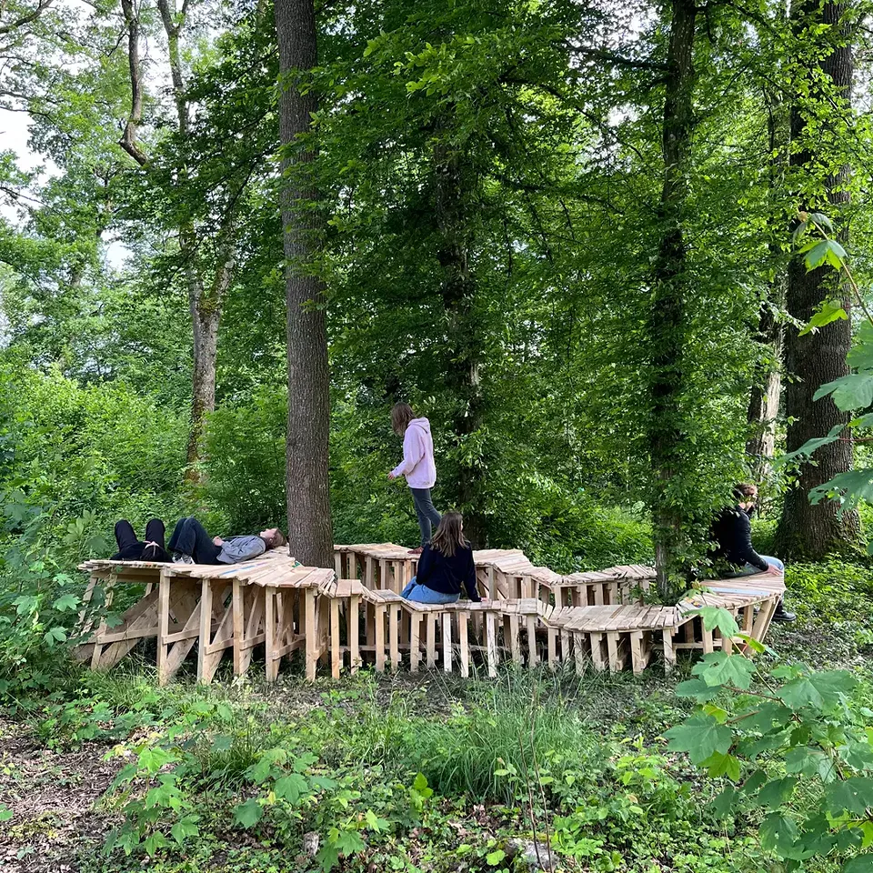 Projekt: Rerooted – Standort: Football Field - «Rerooted» ist eine multifunktionale Holzstruktur, die die Bäume umgibt und mit ihnen im Dialog steht.