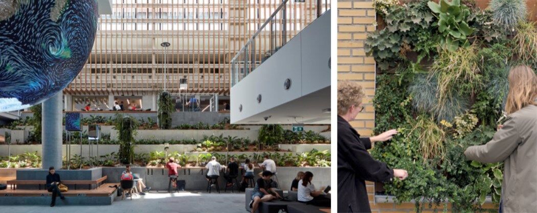 Queensland University of Technology © Christopher Frederick Jones | Green façade © Raket Film Queensland University of Technology © Christopher Frederick Jones | Green façade © Raket Film