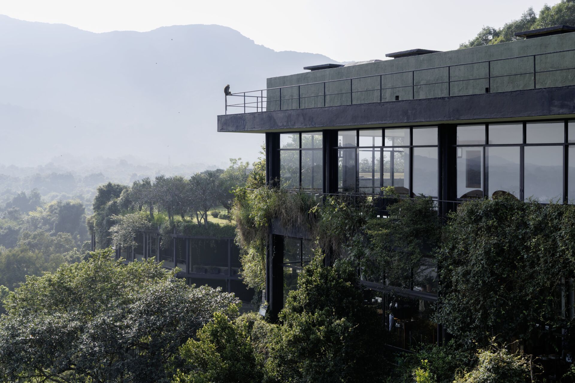 Das Kandalama Hotel in Dambulla auf Sri Lanka scheint aus dem Wald und den Teeplantage emporzuwachsen. | Foto: Iwan Baan Das Kandalama Hotel in Dambulla auf Sri Lanka scheint aus dem Wald und den Teeplantage emporzuwachsen. | Foto: Iwan Baan