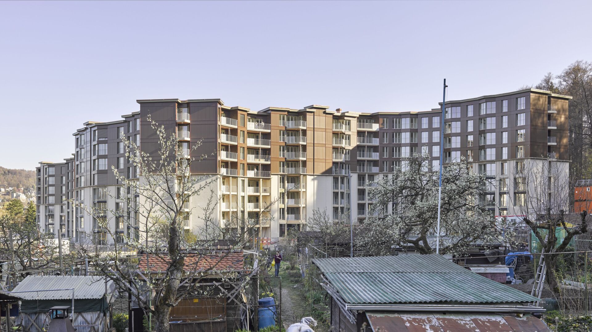 Siedlung Guggach II, Zürich, 2020 | Foto: Seraina Wirz Tobias Madörin