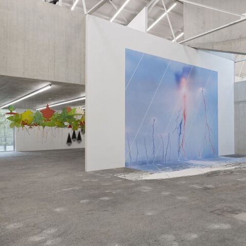 Rewilding – Eröffnungsausstellung im Kunsthaus Baselland