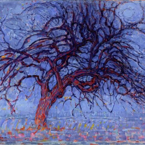 Mondrian Evolution