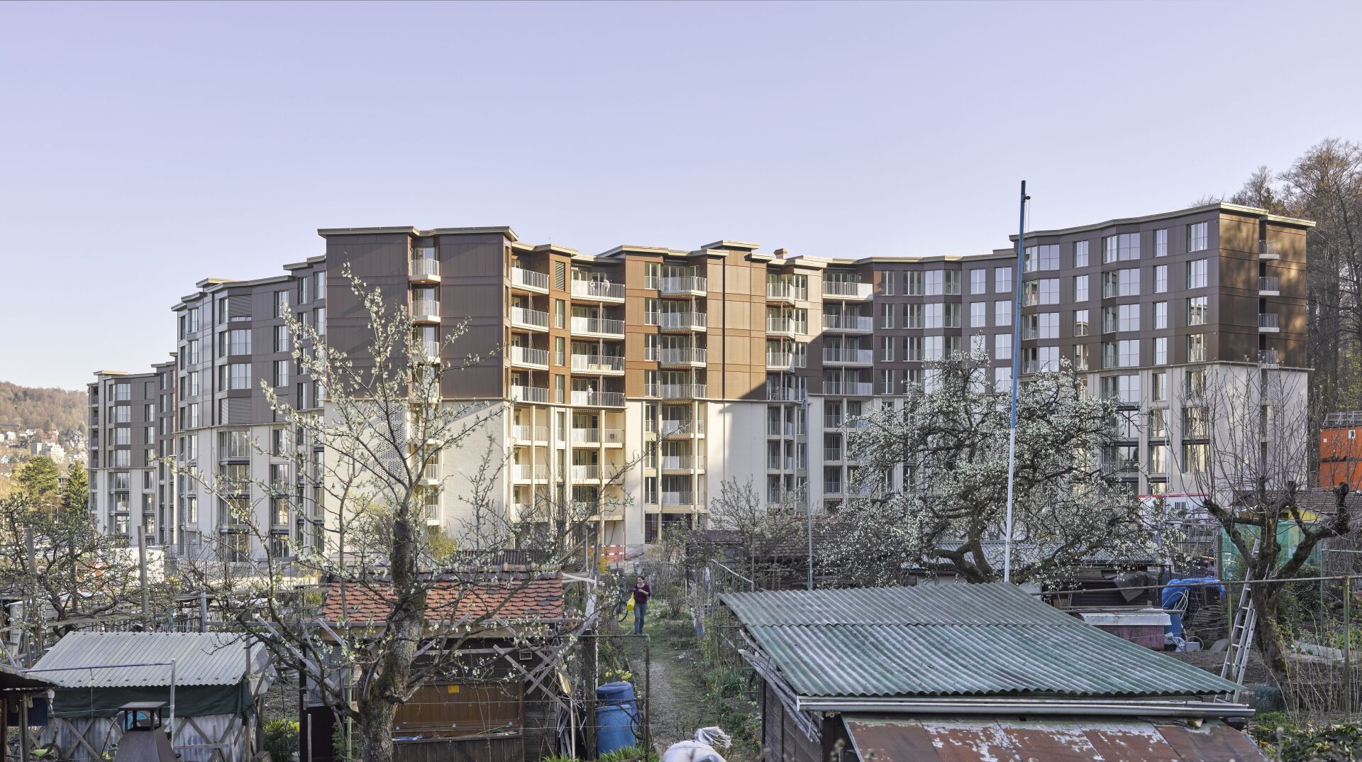 Lotissement Guggach II, Zürich, 2020 | Photo: Seraina Wirz Tobias Madörin