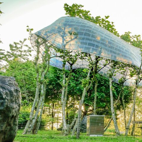 Trees, Time, Architecture – Design in Constant Transformation