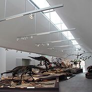 «L'éclairage de musées est un grand défi»