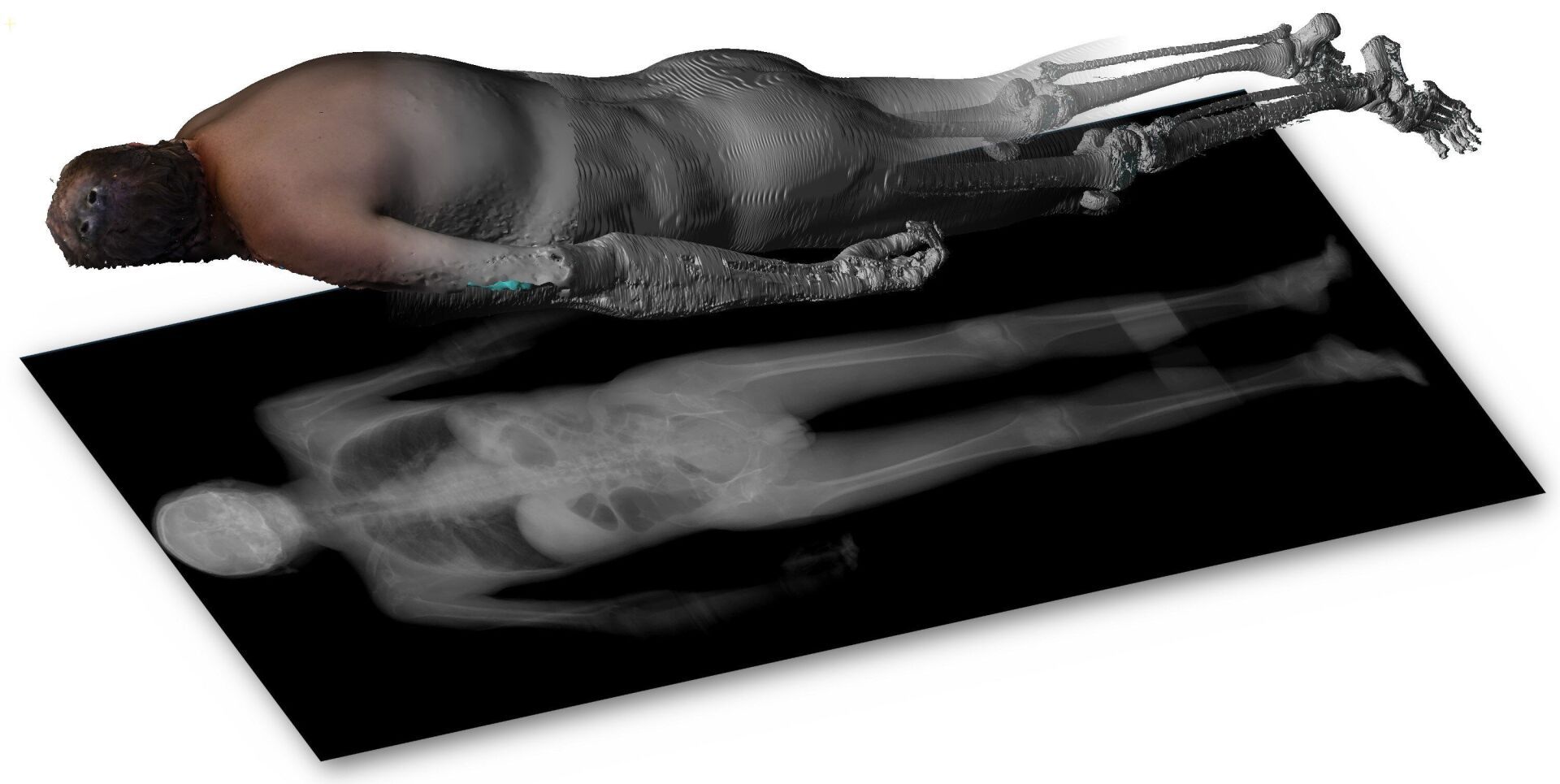 «Forensic Imaging» In der interaktiven Installationen können die Besucher*innen einen fiktiven Mordfall mit aktuellen Methoden der Computerforensik aufklären. ©Till Sieberth «Forensic Imaging» In der interaktiven Installationen können die Besucher*innen einen fiktiven Mordfall mit aktuellen Methoden der Computerforensik aufklären. ©Till Sieberth