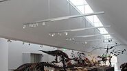 «L'éclairage de musées est un grand défi»