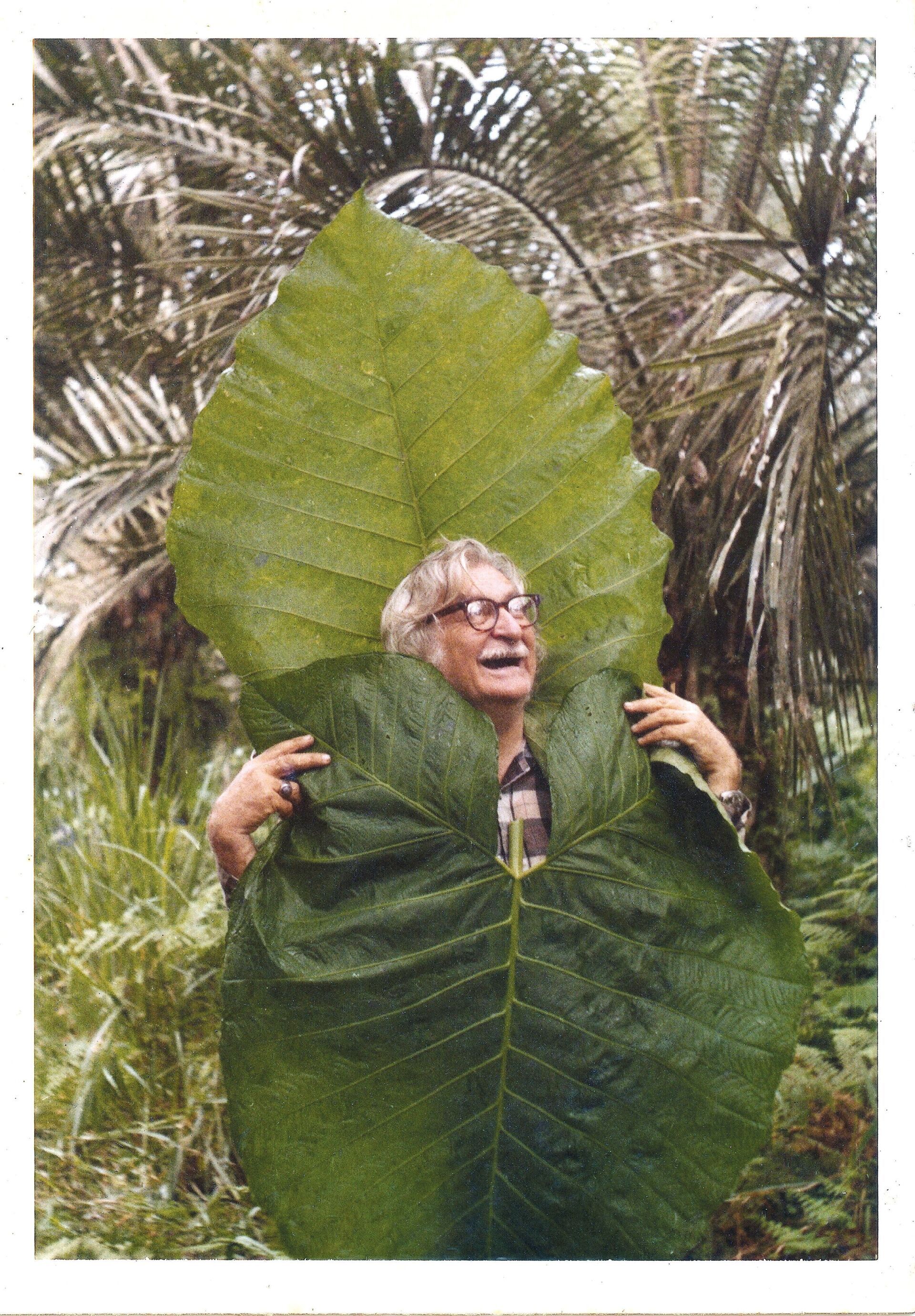 Roberto Burle Marx während einer botanischen Expedition in Ecuador, 1974 | Foto: Luiz Knud Correia de Araújo Roberto Burle Marx während einer botanischen Expedition in Ecuador, 1974 | Foto: Luiz Knud Correia de Araújo