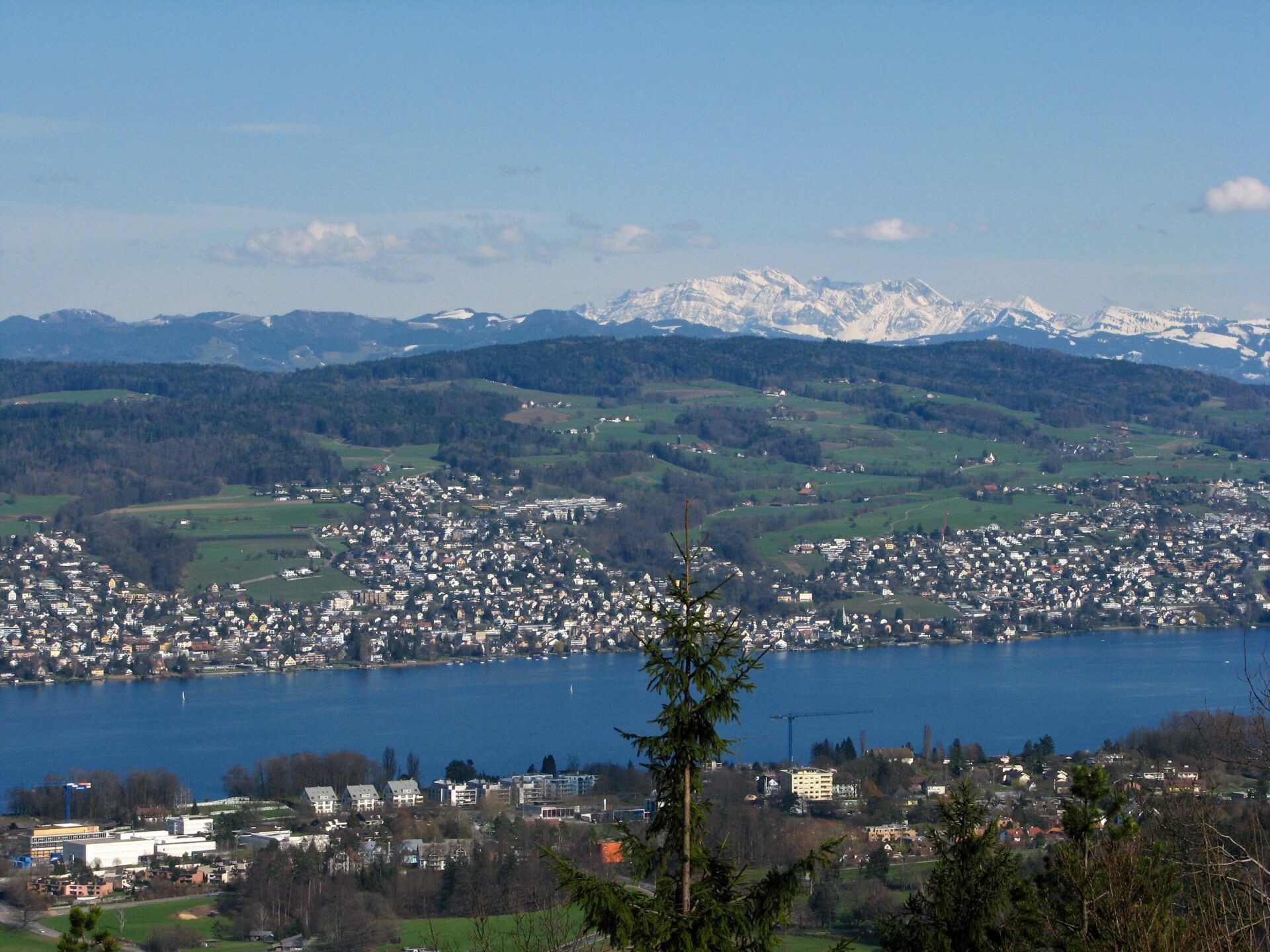 Blick nach Osten auf Erlenbach und Herrliberg am rechten Zürichseeufer | Foto: Roland zh © wikimedia Blick nach Osten auf Erlenbach und Herrliberg am rechten Zürichseeufer | Foto: Roland zh © wikimedia