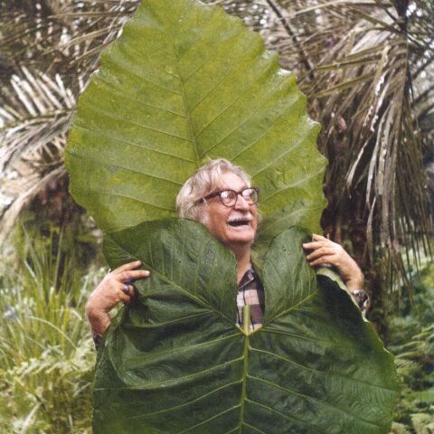 Kulturelle Schlangenlinien – Burle Marx im Zentrum Paul Klee
