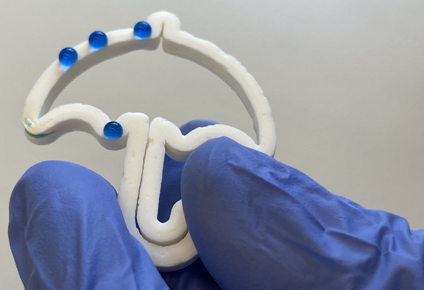 Die gedruckten Objekte lassen sich ohne Formverlust mehrfach rehydrieren und trocknen – aber sie können auch hydrophob gemacht werden. | Foto: Empa Die gedruckten Objekte lassen sich ohne Formverlust mehrfach rehydrieren und trocknen – aber sie können auch hydrophob gemacht werden. | Foto: Empa